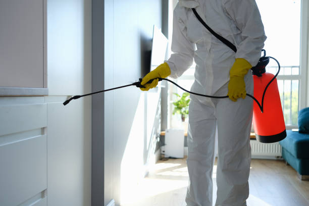 Office Mold Removal Services in Shelby, MT